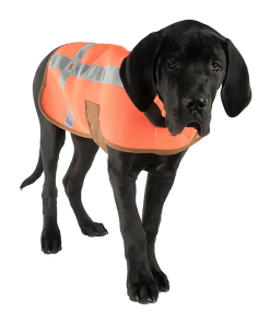 Carhartt - Chaleco de Seguridad de Malla para Perro – Modelo P0000342
